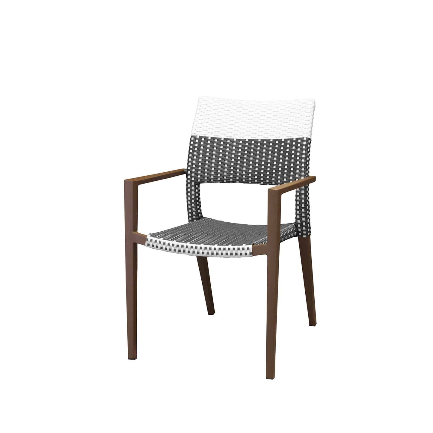 Source Furniture Chloe Wicker Dining Arm Chair SF-2207-163-1